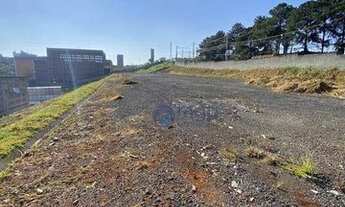 Imagem 5: Salão para alugar, 5700 m² por R$ 16.000/mês - Jardim Mutinga - Barueri/SP