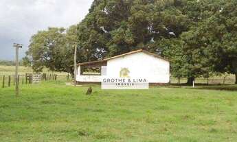 Imagem 3: Fazenda à venda, 88.000 hectares por R$ 220.000.000 - Poconé/MT