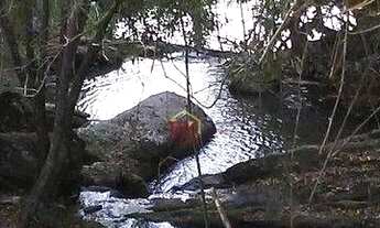 Imagem: Terreno à venda, 193600 m² por R$ 600.000