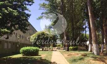 Imagem 7: Apartamento - Vila Padre Manoel de Nóbrega - Campinas