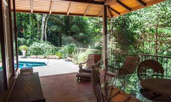 Imagem 5: Muito verde e natureza exuberante