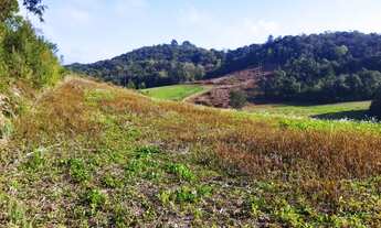 Imagem 7: Área para formar chácara com 67.000m² Jardim são roque- Campo novo