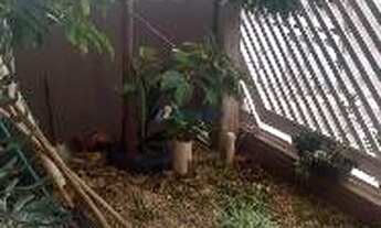 Imagem 4: Sobrado 3 dorm. sendo 1 suíte - Jardim das Torres