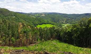 Imagem 7: Troca Chácara Campo Magro, prox. Morro Palha, doc.100%, casa mista,87.984m²