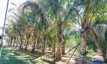 Imagem 3: Chácara residencial à venda, Tanque Furado, Cosmópolis