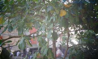 Imagem 4: Apartamento residencial à venda, Boa Viagem, Niterói