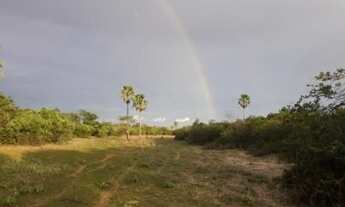 Imagem 4: Área à venda - Zona Rural - Buritirama/BA - Leilão às 10h00