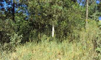 Imagem 2: PORTO ALEGRE - Terreno Padrão - Aberta Dos Morros