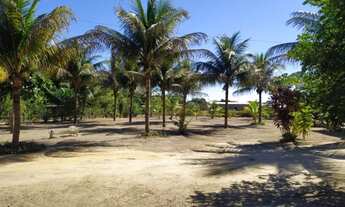 Imagem 16: Rancho com 3 dormitórios à venda por R$ 600.000 - Guaratiba - Prado/Bahia