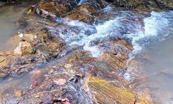 Imagem 5: Chácara no caminho de Pirenópolis antes de Girassol troca