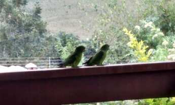 Imagem 3: Casa de condominio