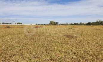 Imagem 3: Trindade - Terreno Padrão - Área Rural de Trindade