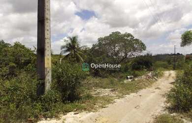 Imagem 2: Terreno Residencial à venda, Praia de Buzios, Nísia Floresta - TE0006
