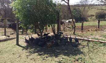 Imagem 7: SITIO ARTUR NOGUEIRA