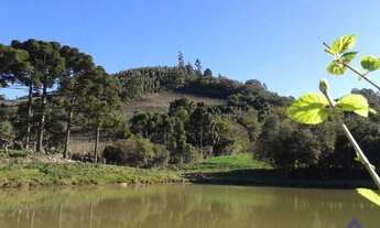 Imagem: TERRAS EM LORETO