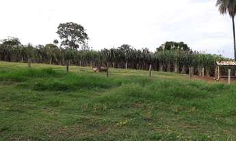 Imagem 4: Fazenda formada porteira fechada Beserra BR 020 Formosa