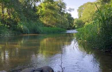 Imagem 2: Mini sítio a 1,5km do centro do Warnow