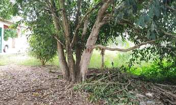 Imagem: Lote no Residencial Bambuí