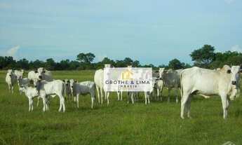 Imagem 2: Fazenda à venda, 88.000 hectares por R$ 220.000.000 - Poconé/MT