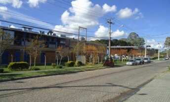 Imagem 2: Barracão Logístico para Locação, 1000 m² - Pinhais/PR