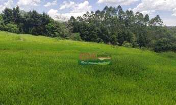 Imagem: Terreno à venda, 20000 m² por R$ 350.000,00