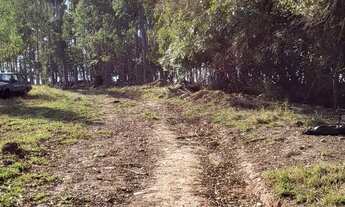 Imagem 3: Sítio para venda tem 52000 metros quadrados em Centro - Botucatu - SP