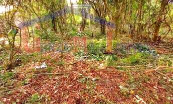 Imagem 5: VENDE-SE TERRENO EM PERUÍBE A 800 M DA PRAIA