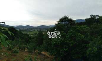 Imagem 3: Terreno à venda, 2040 m² por R$ 435.000,00 - Centro - Santo Amaro da Imperatriz/SC