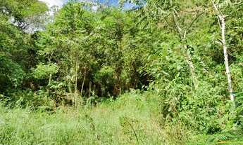 Imagem 7: Terreno na Bocaina dos Blaudts