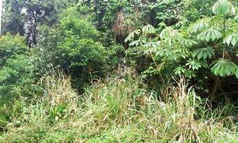 Imagem 6: Terreno 482 m² - escritura registrada cartório -Garça Vermelha - Peruíbe/SP - Aceita Troca