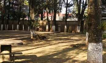 Imagem 5: Venda Commercial / Land Lot Nova Lima MG