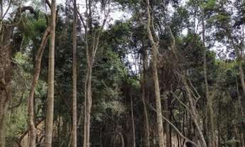 Imagem 7: Apartamento para venda com 999 metros quadrados com 2 quartos em Centro - Mairiporã - São