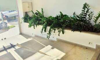 Imagem 2: Salão para aluguel, ALEMAES - PIRACICABA/SP