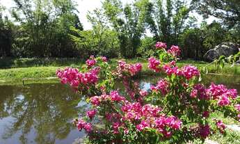 Imagem: Lindo Sitio na Garopaba-SC