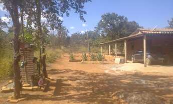 Imagem 3: Fazenda/Sítio/Chácara para venda tem 20000 metros quadrados com 2 quartos