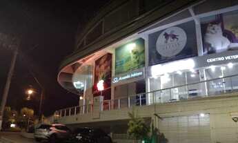 Imagem 7: FLORIANóPOLIS - Conjunto Comercial/Sala - Córrego Grande