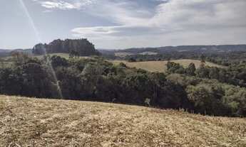 Imagem 2: Terreno rural Terreno / lote com venda por R$290.000