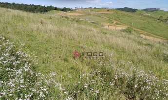 Imagem 3: Terreno à venda, 5000 m² por R$ 139.000,00 - Jardim Califórnia - Jacareí/SP