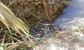 Imagem 2: Vende-se chácara Senador Canedo