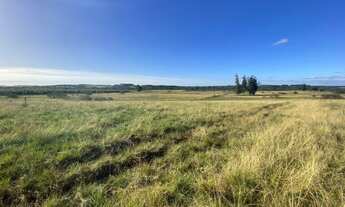 Imagem 4: Fazenda para venda tem 174 hectares