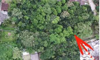 Imagem 4: Área à venda, 7230 m² por R$ 950.000,00 - Sertao da Quina - Ubatuba/SP