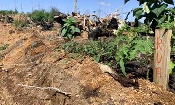 Imagem 6: Lote/Terreno para venda possui 600 metros quadrados em Centro - Mairiporã - SP