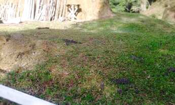 Imagem 4: Vende se terreno em major escriturado