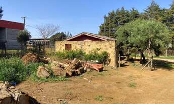 Imagem 6: Terreno industrial