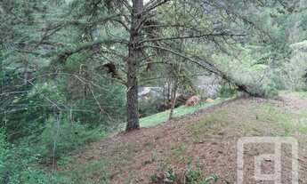 Imagem 3: Terreno à venda, 1425 m² por R$ 620.000,00 - Condomínio Residencial Jardim Véu da Noiva