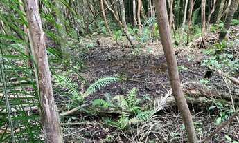 Imagem 5: Promoção de sitio em Gravatai