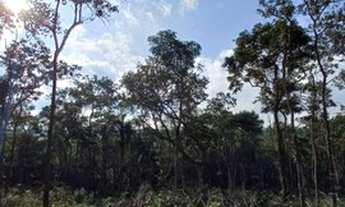 Imagem 3: 29 Lotes Planos de 1000m² em Ibiúna-SP 1RQVNVD