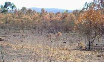 Imagem 3: Venda Comercial / Lote/Terreno Nova Lima MG