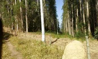 Imagem 5: Terrenos em igaratá!