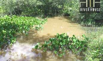Imagem 3: Fazenda - venda na região de Porto de fora 641,.5 hectares